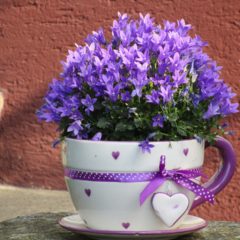 Recycler les pots de fleurs