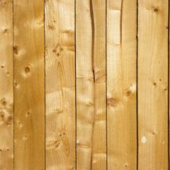 Parquet en pin : un matériau intemporel pour votre rénovation intérieure