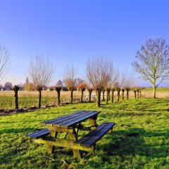 Table de jardin en bois avec banc : un choix parfait pour les familles